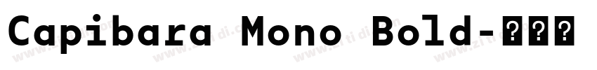 Capibara Mono Bold字体转换